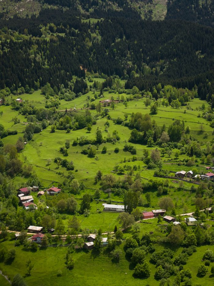 Home A beautiful aerial photograph capturing a lush green valley with scattered houses and dense forests in the background.